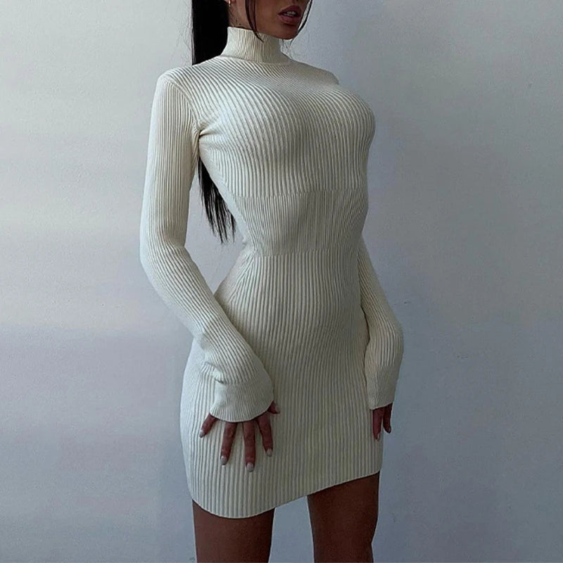 Knitted Turtleneck Dress  Long Sleeve Bodycon Dress